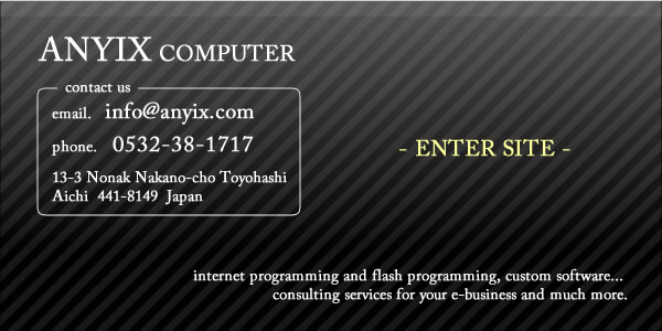 ANYIX COMPUTER